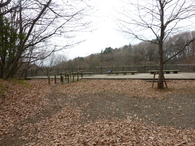 e0018604_17435726.jpg