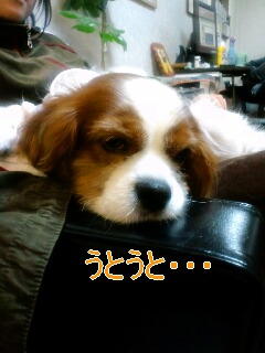 a0168007_0542424.jpg