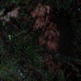 e0103408_19405193.gif