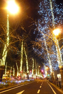 f0126515_18143491.jpg