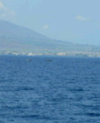 c0149717_23501160.jpg
