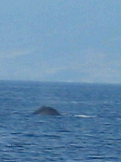c0149717_23501185.jpg