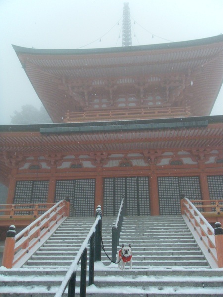 f0090117_23113770.jpg