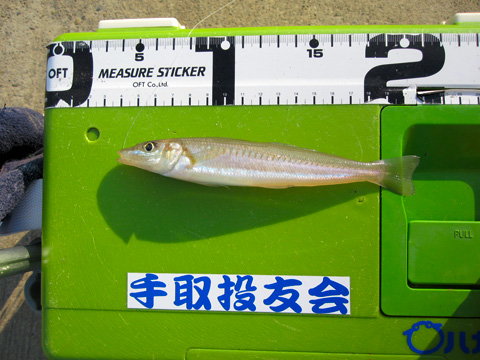 b0186119_15285429.jpg
