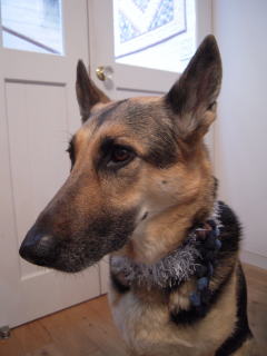 c0090220_794874.jpg