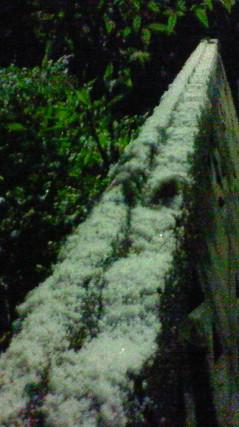 c0097620_21452651.jpg