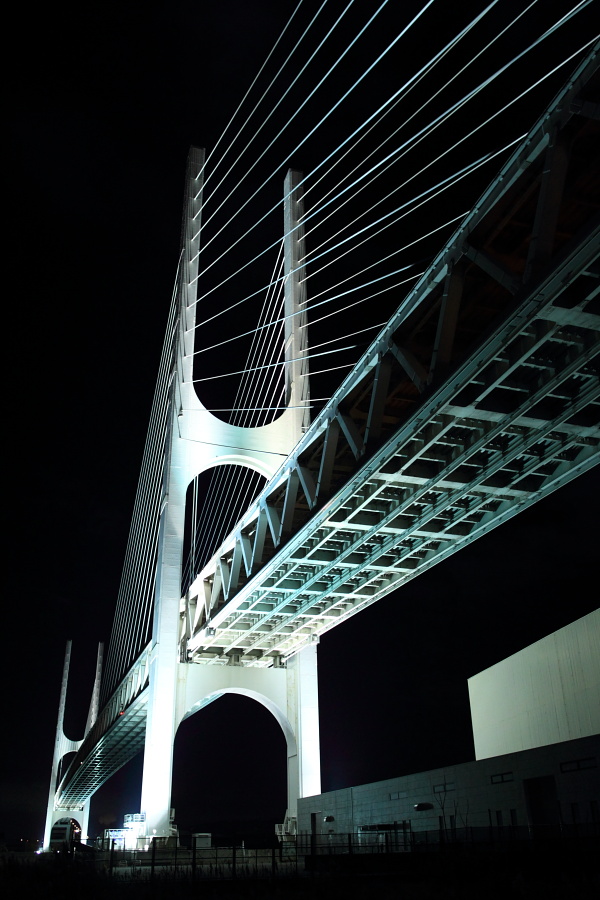 f0031423_8954.jpg