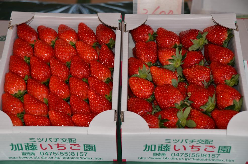 f0124830_13582245.jpg