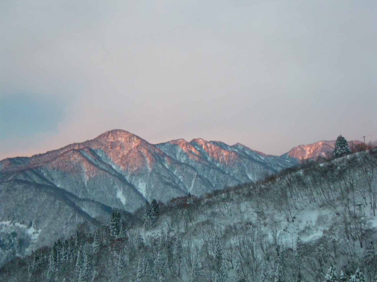 a0119132_19252987.jpg