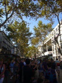 f0031138_22179.jpg
