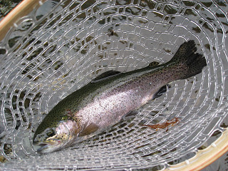 f0065341_22175593.jpg