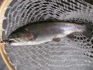 f0065341_2274358.jpg