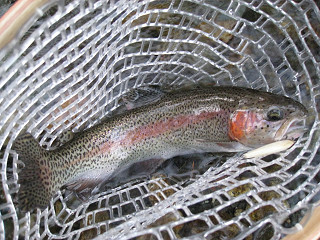 f0065341_228411.jpg