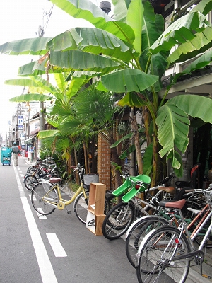 f0009451_22105048.jpg