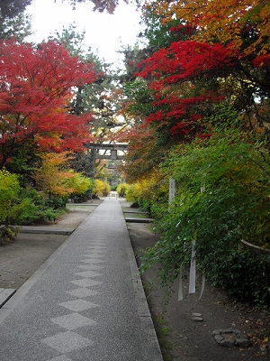 f0009451_225287.jpg