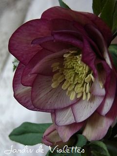 e0118257_2220071.jpg