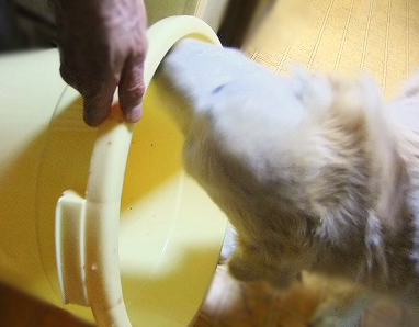 c0097558_030832.jpg