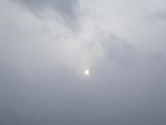 f0055264_22364272.jpg