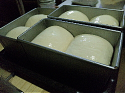 c0213777_11435832.jpg