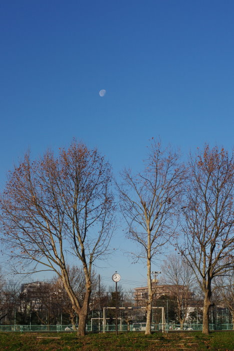 b0120979_14282239.jpg