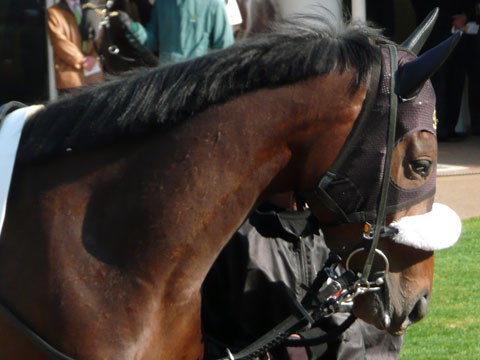 a0036685_1117178.jpg