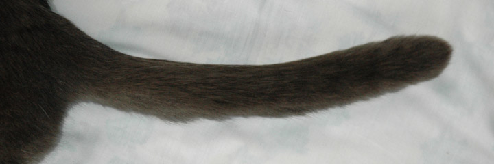 c0170789_12211752.jpg