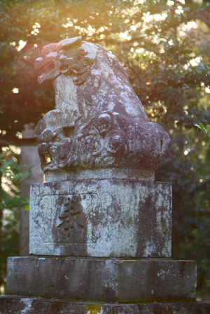 d0133693_2384323.jpg