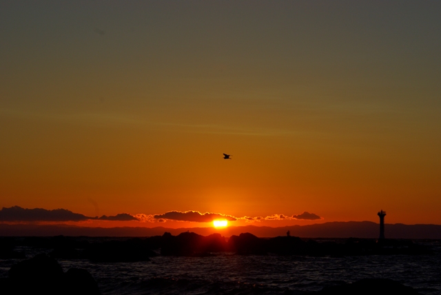 c0125596_2065592.jpg