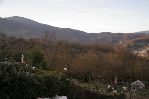 f0106597_1431763.jpg