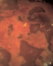 c0164401_1152572.jpg