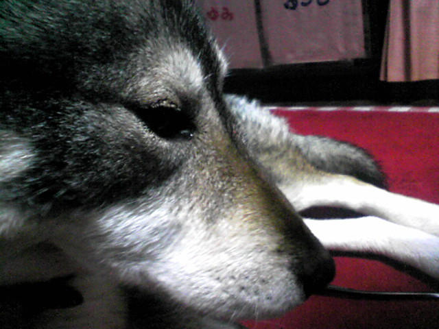 f0079202_18533997.jpg