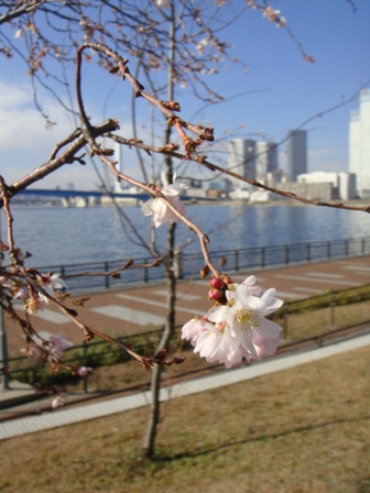 a0167803_23583016.jpg