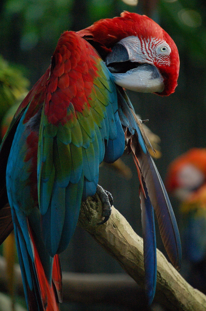a0157704_332568.jpg