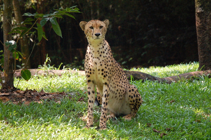 a0157704_3462439.jpg