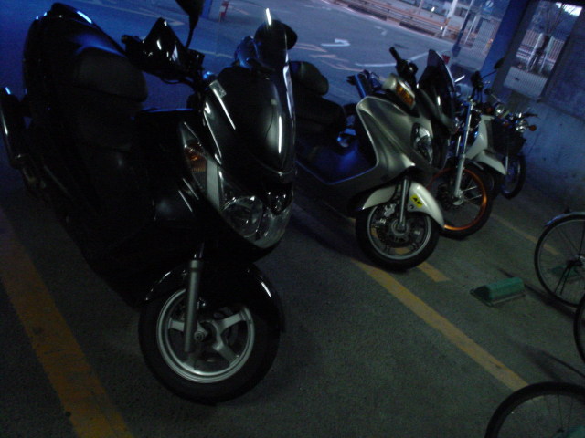 a0116205_23455714.jpg