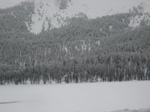 b0178006_0274074.jpg