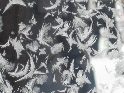 b0178006_0521387.jpg