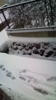 c0124908_20293972.jpg