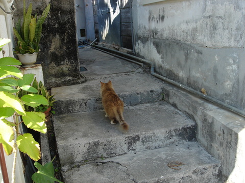 d0154508_7452570.jpg