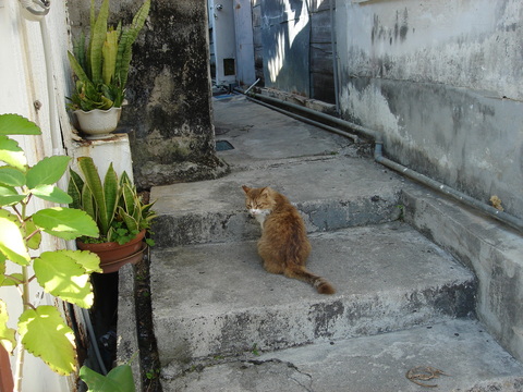 d0154508_7454766.jpg