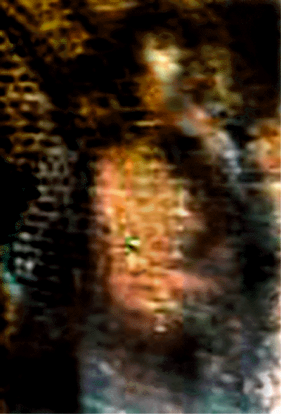 e0103408_11552983.gif