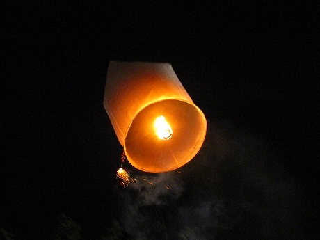 b0051109_13103163.jpg