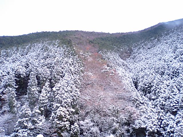 f0231709_11121048.jpg
