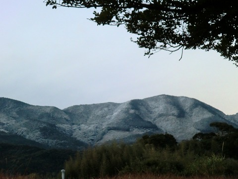 d0037110_21583494.jpg