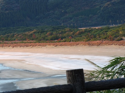 d0037110_22292189.jpg