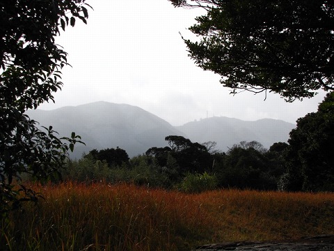 d0037110_2229584.jpg