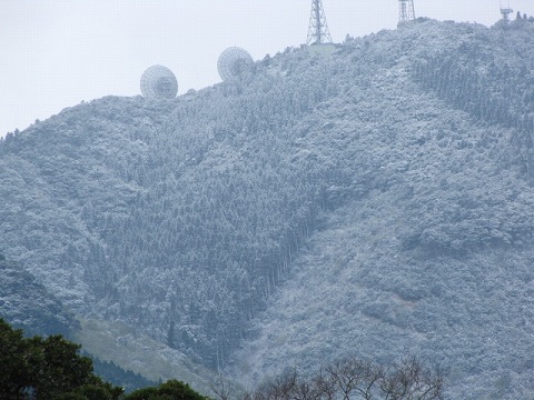 d0037110_2230612.jpg