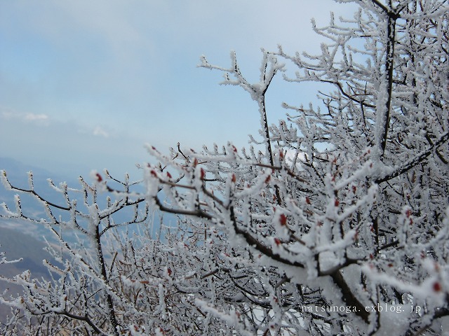 b0141916_164353.jpg