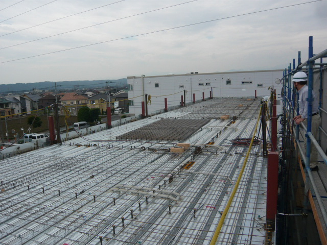 e0087620_8564062.jpg