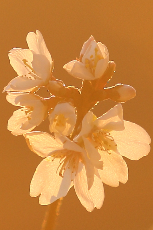 f0077521_17282470.jpg